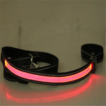 Load image into Gallery viewer, Fluorescent dog collar