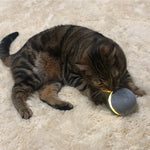 Load image into Gallery viewer, Cat toy bouncing ball