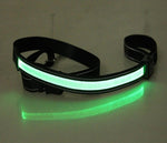 Load image into Gallery viewer, Fluorescent dog collar