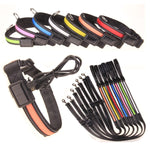 Load image into Gallery viewer, Fluorescent dog collar