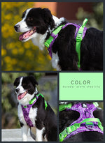 Load image into Gallery viewer, Dog leashes dog chain vest vest straps