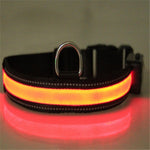 Load image into Gallery viewer, Fluorescent dog collar