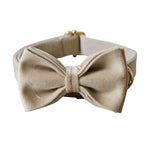 Load image into Gallery viewer, Nude velvet pet collar