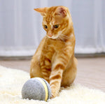 Load image into Gallery viewer, Cat toy bouncing ball