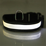Load image into Gallery viewer, Fluorescent dog collar