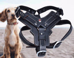 Load image into Gallery viewer, Genuine Leather Dog Harness