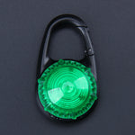 Load image into Gallery viewer, Pet Dog Cat LED Flashing Collar Safety Night Light Up Pendant