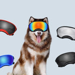 Load image into Gallery viewer, Fashionable Ski Sunglasses For Large And Medium-sized Pet Dogs