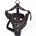Load image into Gallery viewer, Genuine Leather Dog Harness