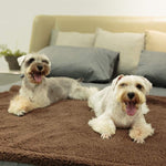 Load image into Gallery viewer, Plush Pet Blanket Dog Mat Cat Mat Pet Air Conditioning Mat Pet Plush Mat