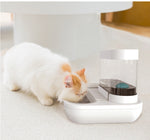 Load image into Gallery viewer, 4 Style Pet Cat Bowl Dog for Cats Feeder Bowls Kitten Automatic Drinking Fountain 1.5L Capacity Puppy Feeding Waterer Products