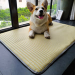Load image into Gallery viewer, Dog Mat Sleeping With Pet Mat Summer Mat Anti Bite Mattress Cat Non Stick Hair Ice Mat Dog Mat
