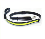 Load image into Gallery viewer, Fluorescent dog collar