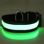 Load image into Gallery viewer, Fluorescent dog collar