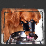 Load image into Gallery viewer, Small Dog Large Muzzle Adjustable Bite Proof