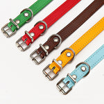 Load image into Gallery viewer, Pet supplies collar