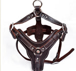 Load image into Gallery viewer, Genuine Leather Dog Harness