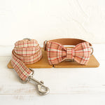 Load image into Gallery viewer, Bowknot dog leash suit