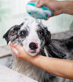 Load image into Gallery viewer, Pet Bath Massage Comb Automatic Liquid