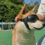 Load image into Gallery viewer, Pet And Dog UV Protective Goggles