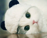Load image into Gallery viewer, Panda costume pet hat