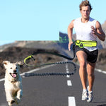 Load image into Gallery viewer, Hands-Free Dog Running Leash with Waist Pocket Adjustable Belt Shock Absorbing Bungee