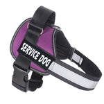 Load image into Gallery viewer, Labrador dog harness leash