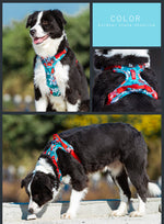 Load image into Gallery viewer, Dog leashes dog chain vest vest straps