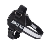 Load image into Gallery viewer, Labrador dog harness leash