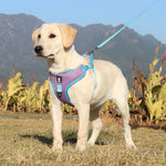 Load image into Gallery viewer, Breathable Pet Harness Adjustable Leash