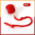 Load image into Gallery viewer, Interactive Cat Toy Ball Super Drive Cat Rolling Ball