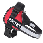 Load image into Gallery viewer, Labrador dog harness leash