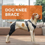 Load image into Gallery viewer, Acl Knee Pad Hip Dysplasia Joint Pain Relief Protective Gear Strap