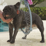 Load image into Gallery viewer, One-key Foldable Cleaning Hose For Pet Bathing