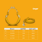 Load image into Gallery viewer, Per Harness with leash