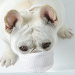 Load image into Gallery viewer, Pet Mask Face Mask Going Out Three Layers Non-woven Fabric