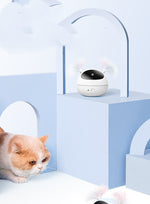 Load image into Gallery viewer, Automatic electric cat toy cat toy