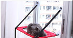 Load image into Gallery viewer, Cat Hammock Window Resting Seat Perch Cat Bed for Indoor Cats Sleeping