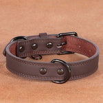 Load image into Gallery viewer, Medium Bell Anti-lost Pet Collar