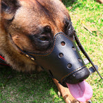 Load image into Gallery viewer, Small Dog Large Muzzle Adjustable Bite Proof