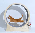 Load image into Gallery viewer, Special Toys For Cat Treadmill Roller