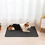Load image into Gallery viewer, Waterproof Dog Mats Water-absorbing Dog Diaper Changing Mat Training Reusable Pet Changing Mat AntiSlip Mat Carpet Absorbent Mat
