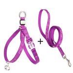 Load image into Gallery viewer, Pet Cat Bell Chest Strap Haulage Rope Package Vest Small Dog Teddy Leash