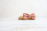 Load image into Gallery viewer, Bowknot dog leash suit