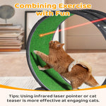 Load image into Gallery viewer, Black Plastic PP Splicing Type With Green Carpet 10kg Cat Treadmill