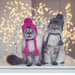 Load image into Gallery viewer, Fur Ball Warm And Windproof Fluffy Ball Knitting Method Dog Fighting Hat