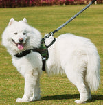 Load image into Gallery viewer, Chest harness dog leash
