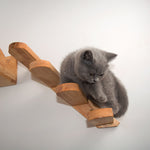 Load image into Gallery viewer, Cats Climbing Ladders On Solid Wood Walls, Rubber Wood Springboards And Stair Toys
