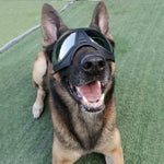 Load image into Gallery viewer, Large dog-ink sunglasses