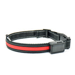 Load image into Gallery viewer, Fluorescent dog collar